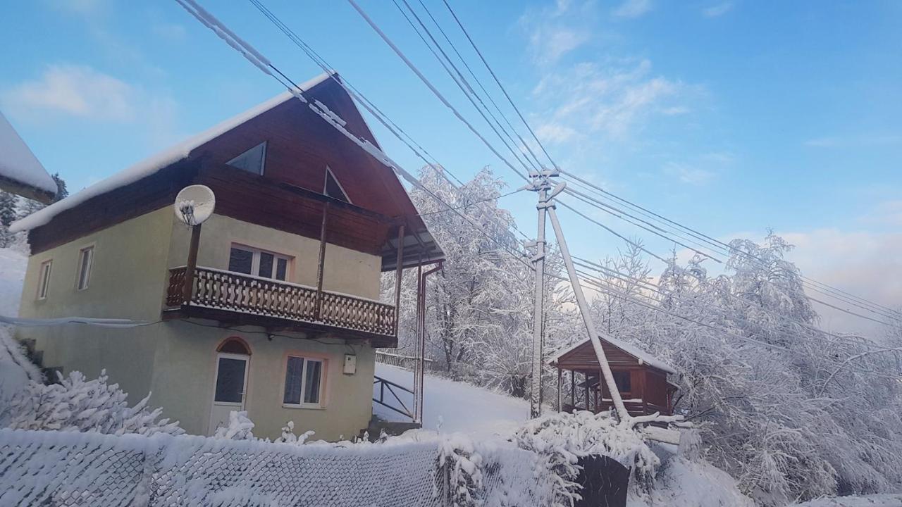 Карпатський Будинок Apartment Izki Exterior photo
